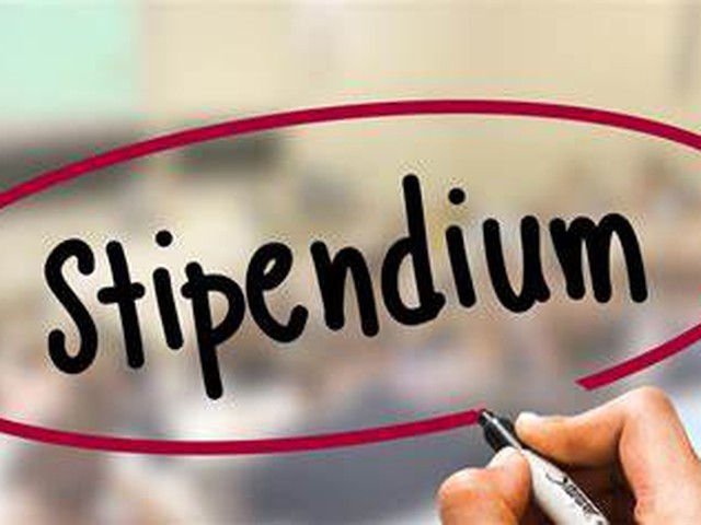 Stipendium - wie sticht meine Bewerbung heraus? (Modul 3)